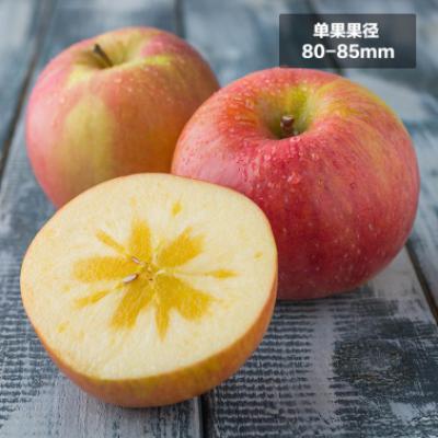 新疆阿克苏冰糖心苹果2kg果径80-85mm